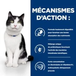 I/d Digestive Sachet Repas Pour Chat Et Chaton Saumon 12 I/d Digestive Sachet Repas Pour Chat Et Chaton Saumon -Vetoavenue feline i d digestive care activ biome saumon sachet repas 4