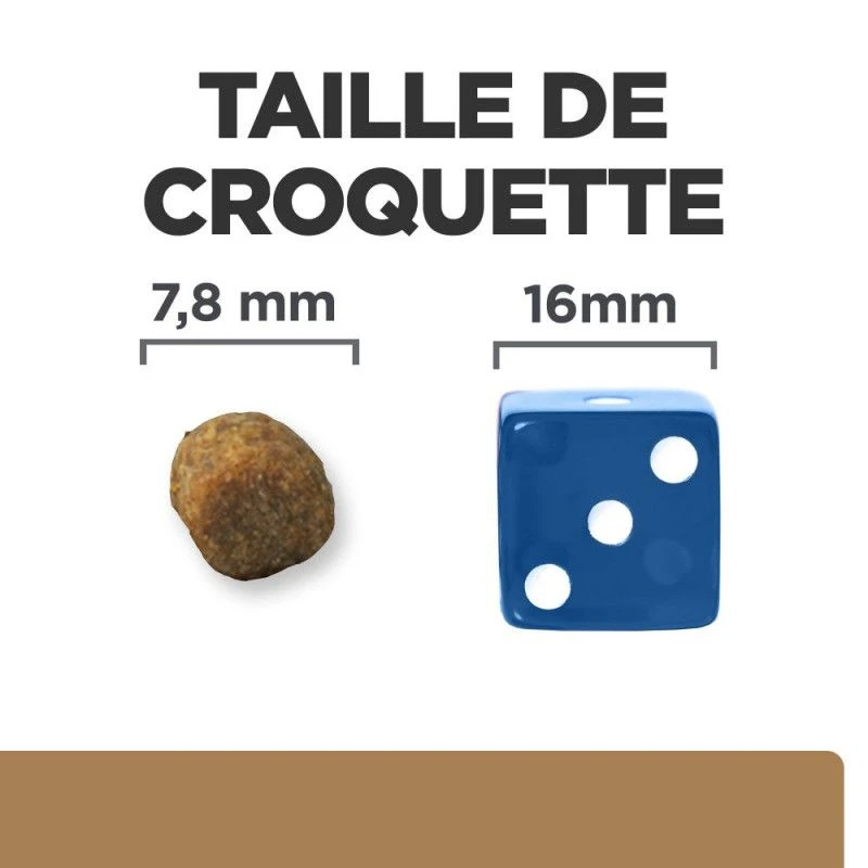 J/D Mobility Croquettes Pour Chat Au Poulet 5 J/D Mobility Croquettes Pour Chat Au Poulet – Image 5