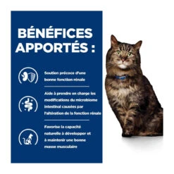 K/d Kidney Early Stage Croquettes Pour Chat Au Poulet -Vetoavenue feline k d early stage poulet 2