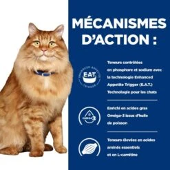 K/D J/D Kidney+Mobility Sachet Repas Pour Chat Poulet 12 K/D J/D Kidney+Mobility Sachet Repas Pour Chat Poulet -Vetoavenue feline k d mobility poulet sachet repas 4