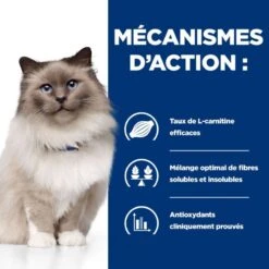 R/D Weight Loss Croquettes Pour Chat Au Poulet -Vetoavenue feline r d 3