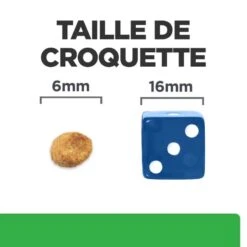 R/D Weight Loss Croquettes Pour Chat Au Poulet -Vetoavenue feline r d 4