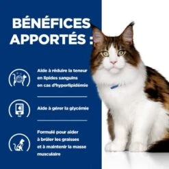 W/d Multi Benefit Boîte émincé Pour Chat Poulet 11 W/d Multi Benefit Boîte émincé Pour Chat Poulet -Vetoavenue feline w d poulet boite emince 3
