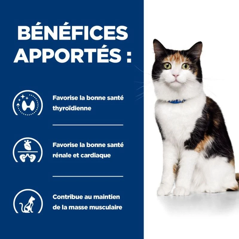 Y/D Thyroid Croquettes Pour Chat 4 Y/D Thyroid Croquettes Pour Chat – Image 4