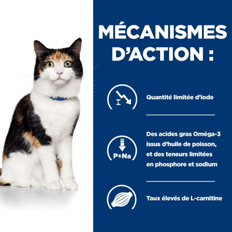 Y/D Thyroid Croquettes Pour Chat 5 Y/D Thyroid Croquettes Pour Chat – Image 5