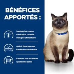 Z/d Food Sensitivities Boîte Pour Chat -Vetoavenue feline z d food sensitivities activ biome boite 3