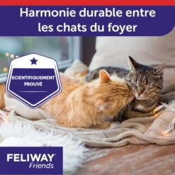 CEVA Feliway Friends 13 CEVA Feliway Friends -Vetoavenue feliway friends 4