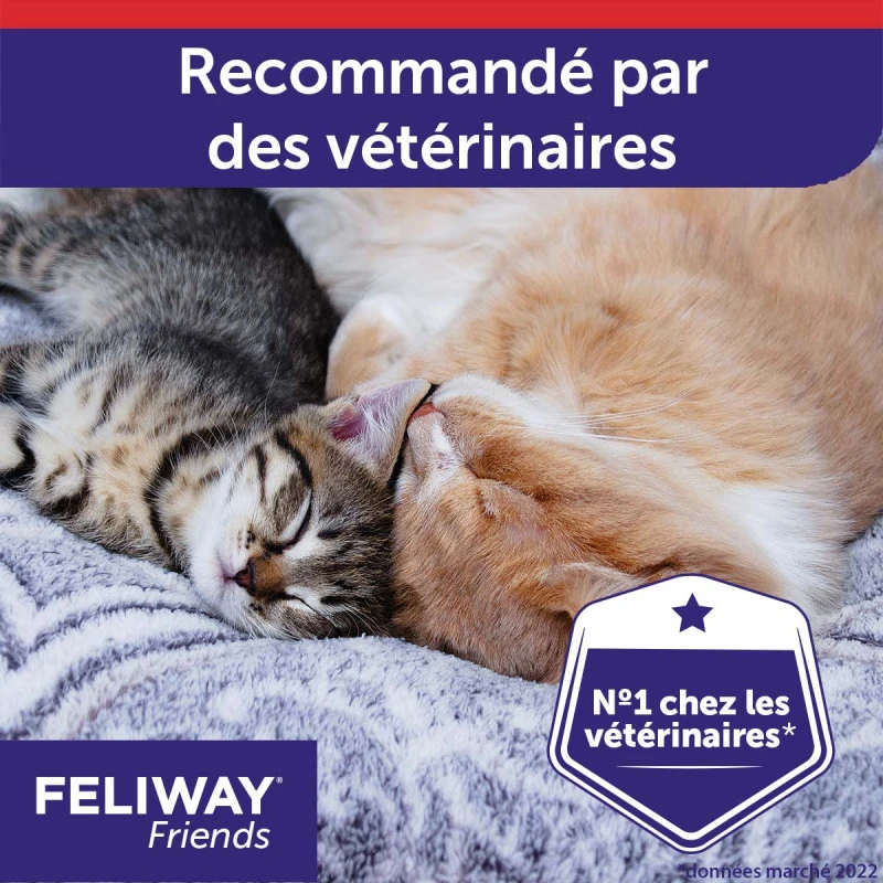 CEVA Feliway Friends 6 CEVA Feliway Friends – Image 6