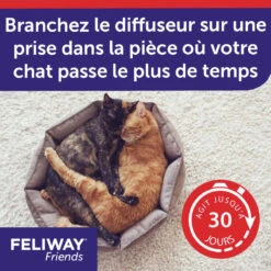 CEVA Feliway Friends 15 CEVA Feliway Friends -Vetoavenue feliway friends 6