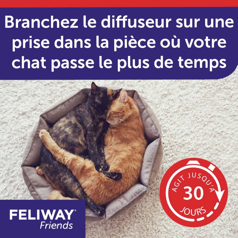 CEVA Feliway Friends 7 CEVA Feliway Friends – Image 7