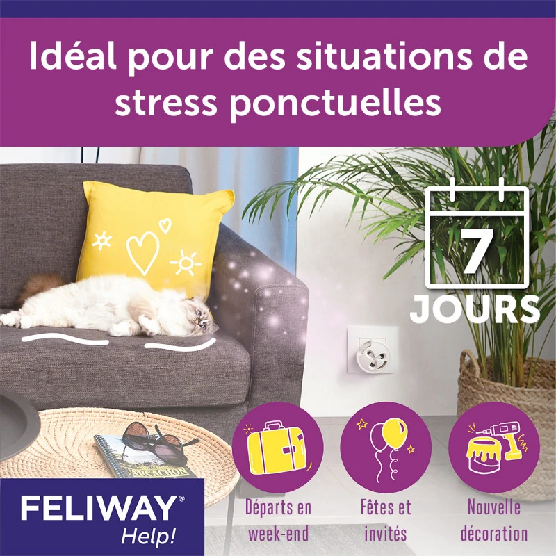 CEVA Feliway Help 4 CEVA Feliway Help – Image 4