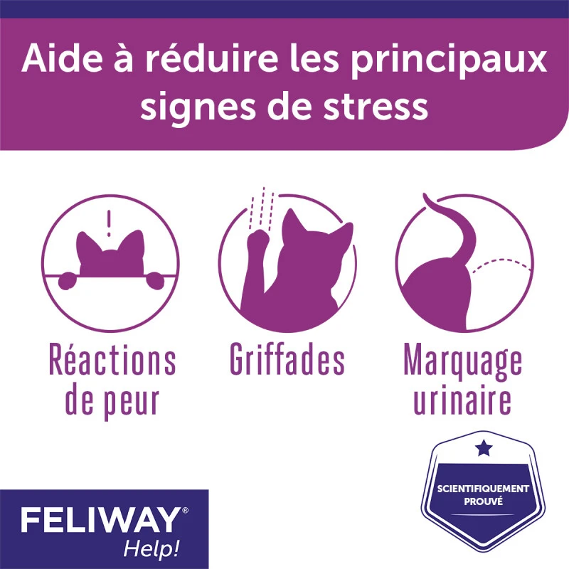 CEVA Feliway Help 6 CEVA Feliway Help – Image 6