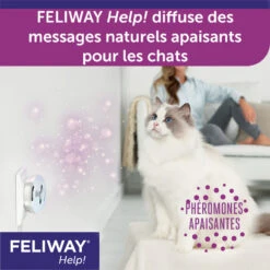 CEVA Feliway Help 15 CEVA Feliway Help -Vetoavenue feliway help 6