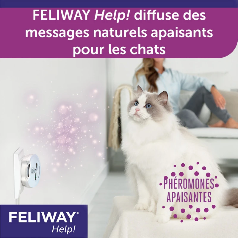 CEVA Feliway Help 7 CEVA Feliway Help – Image 7