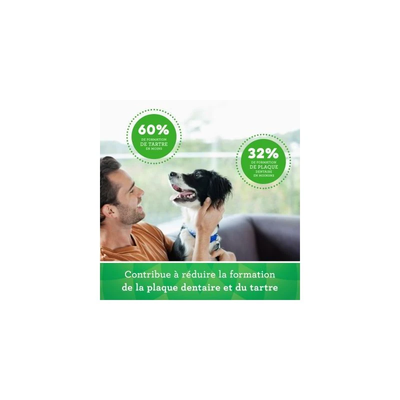 Mars Friandises Greenies Teenie Pour Chien 8 Mars Friandises Greenies Teenie Pour Chien – Image 8