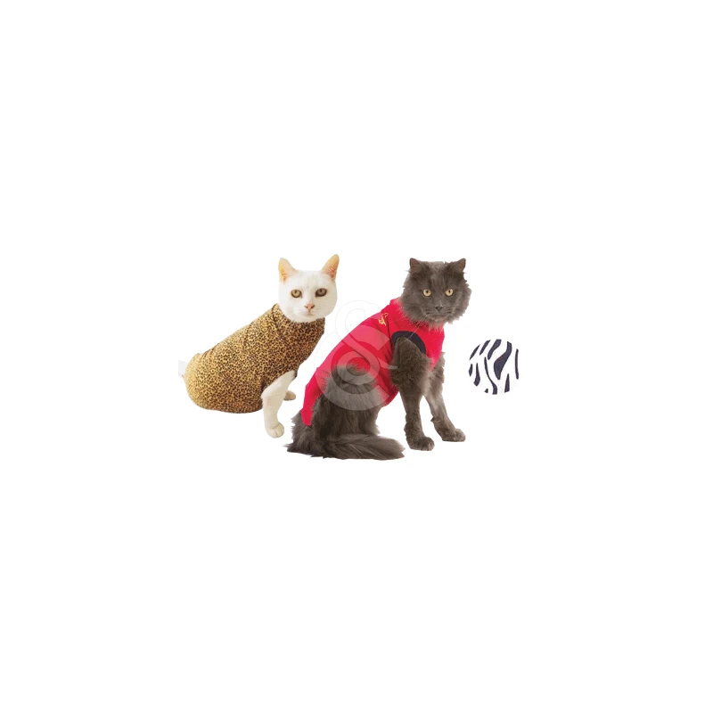 Materiel Gilet Pet Shirt Pour Chat - 4XS - Lg : 25-32 Cm (Rouge) 11 Materiel Gilet Pet Shirt Pour Chat - 4XS - Lg : 25-32 Cm (Rouge) – Image 11