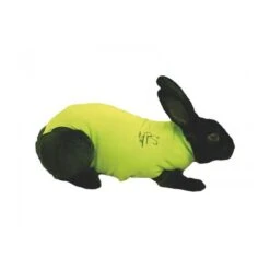 Materiel Gilet Pet Shirt Pour Lapin