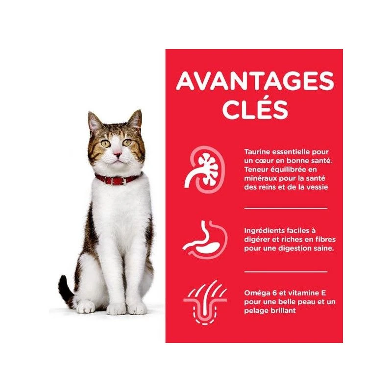 Feline Mature Adult 7+ Poulet 2 Feline Mature Adult 7+ Poulet – Image 2