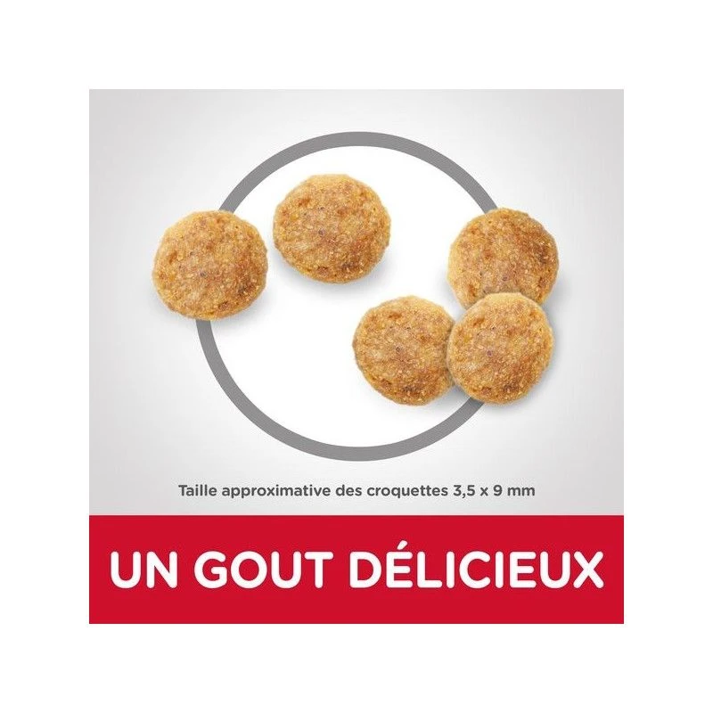 Feline Mature Adult 7+ Poulet 3 Feline Mature Adult 7+ Poulet – Image 3