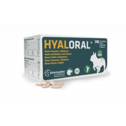 Hyaloral Chiot, Petites Et Moyennes Races