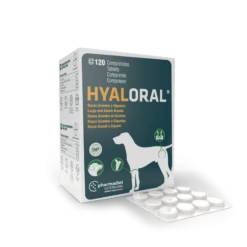 Hyaloral Grandes Et Très Grandes Races