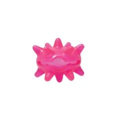 Jouet Chien Pop : Crazy Urchin Toy
