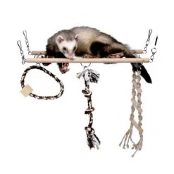 Materiel Jouet Rongeur/oiseau : Pont Suspendu En Bois - Lg : 35 Cm - D : 15 Cm