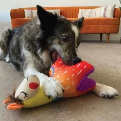 Kong Ballistic Vibez Llamas -Vetoavenue kong ballistic vibez llamas 2