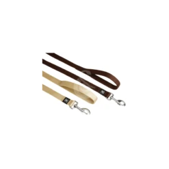 Materiel Laisse B And B