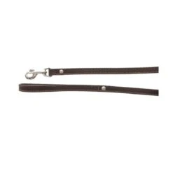 Materiel Laisse Cuir Doublé