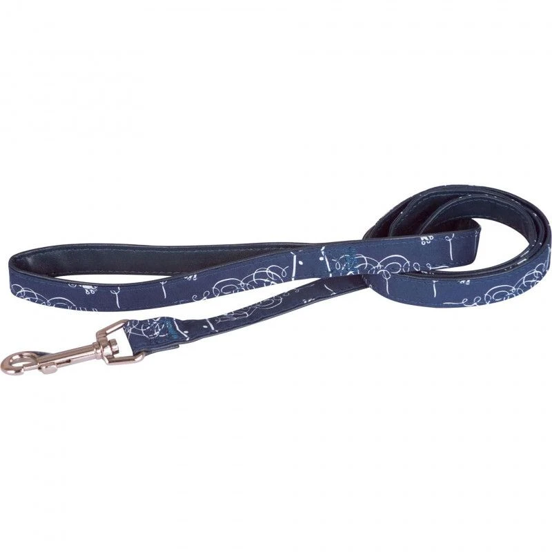 Materiel Laisse Plage Doogy 2 Materiel Laisse Plage Doogy – Image 2