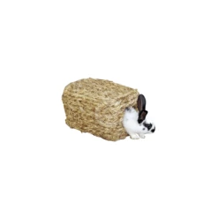 Materiel Maisonnette Végétale Pour Lapins Nains, Cochon D'inde...