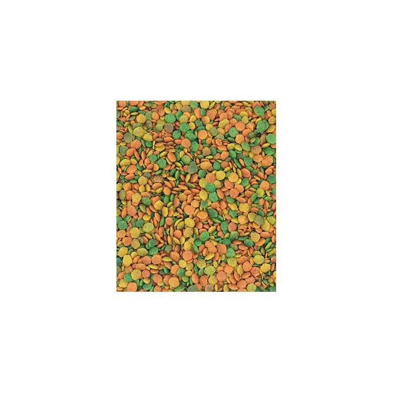 VERSELE-LAGA Nutribird Grandes Perruches G14 Tropical(extrudé) 3 VERSELE-LAGA Nutribird Grandes Perruches G14 Tropical(extrudé) – Image 3