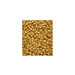 VERSELE-LAGA Nutribird Perroquets P15 Original 5 VERSELE-LAGA Nutribird Perroquets P15 Original -Vetoavenue nutribird perroquets p15 original 1