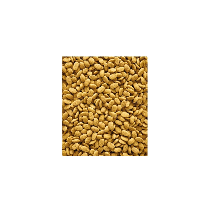 VERSELE-LAGA Nutribird Perroquets P15 Original 3 VERSELE-LAGA Nutribird Perroquets P15 Original – Image 3