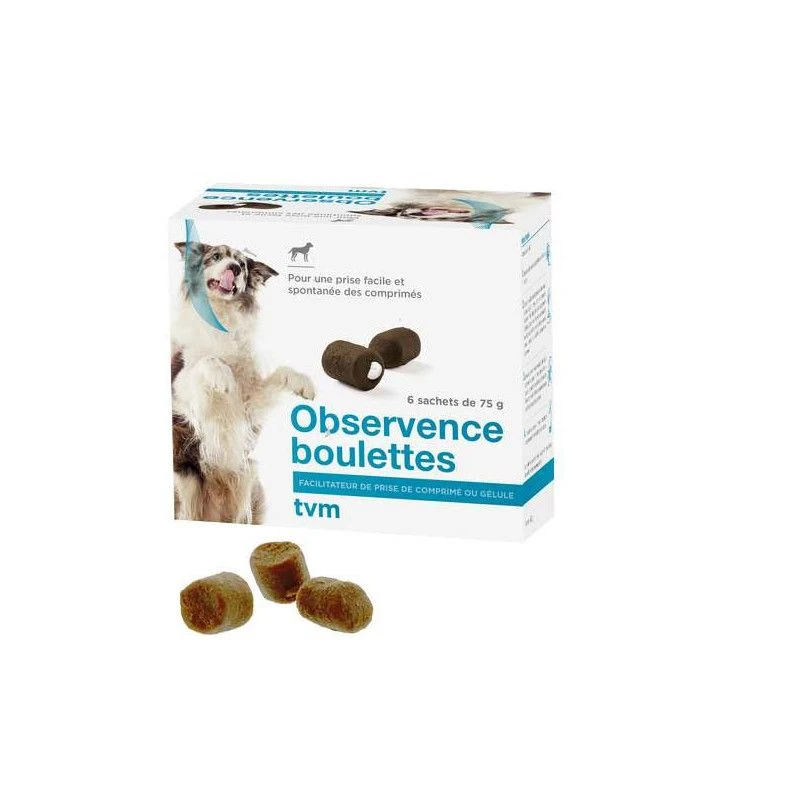 Observence Chien En Boulettes 1 Observence Chien En Boulettes