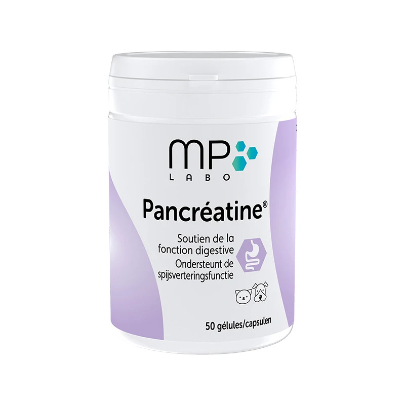 Pancreatine 1 Pancreatine