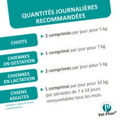 CEVA Pet-Phos Croissance Ca/P 1,3 -Vetoavenue pet phos croissance ca p 13 4