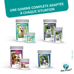 CEVA Pet-Phos Croissance Ca/P 1,3 -Vetoavenue pet phos croissance ca p 13 6