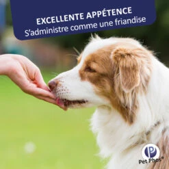 CEVA Pet-Phos Croissance Ca/P 2 12 CEVA Pet-Phos Croissance Ca/P 2 -Vetoavenue pet phos croissance ca p 2 5