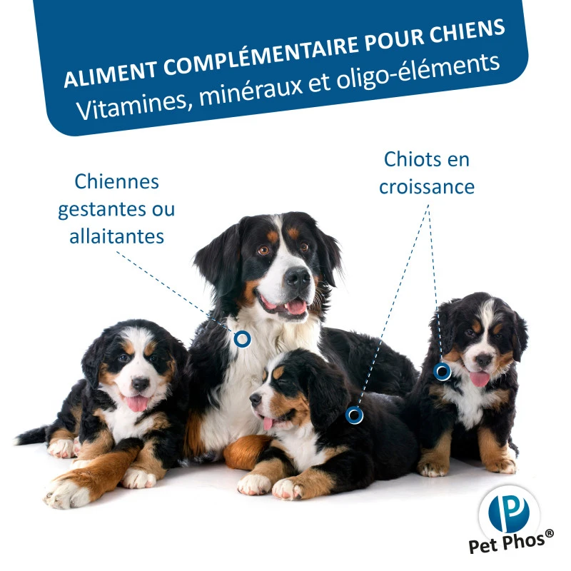 CEVA Pet-Phos Croissance Grand Chien 2 CEVA Pet-Phos Croissance Grand Chien – Image 2