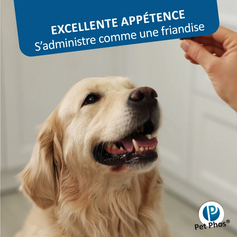 CEVA Pet-Phos Croissance Grand Chien 6 CEVA Pet-Phos Croissance Grand Chien – Image 6