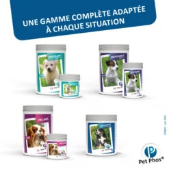 CEVA Pet-Phos Croissance Grand Chien 13 CEVA Pet-Phos Croissance Grand Chien -Vetoavenue pet phos croissance grand chien 6