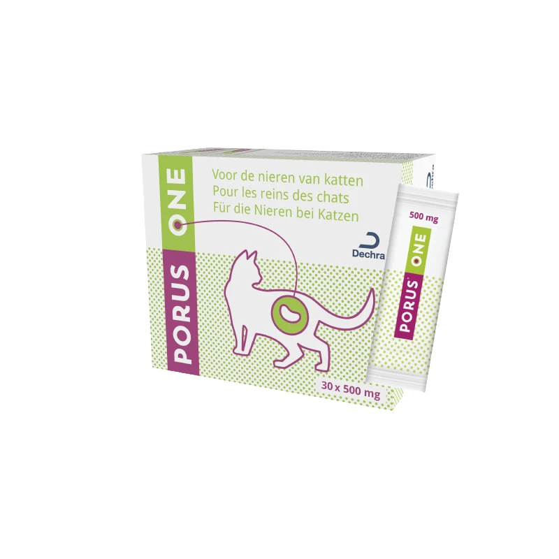 Porus One 500 Mg Chat 1 Porus One 500 Mg Chat