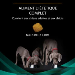 PURINA PRO PLAN Ppvd Canine EN Gastrointestinal 16 PURINA PRO PLAN Ppvd Canine EN Gastrointestinal -Vetoavenue ppvd canine en gastrointestinal 5