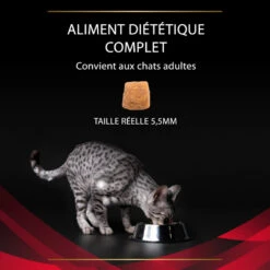 PURINA PRO PLAN Ppvd Feline DM Stox Diabetes 19 PURINA PRO PLAN Ppvd Feline DM Stox Diabetes -Vetoavenue ppvd feline dm stox diabetes 7