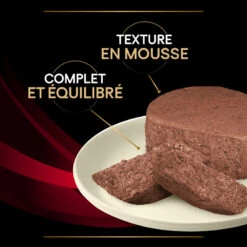 PURINA PRO PLAN Ppvd Feline DM Stox Diabetes Boîte 15 PURINA PRO PLAN Ppvd Feline DM Stox Diabetes Boîte -Vetoavenue ppvd feline dm stox diabetes boite 7