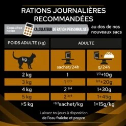 PURINA PRO PLAN Ppvd Feline NF Salmon Sachet Repas 14 PURINA PRO PLAN Ppvd Feline NF Salmon Sachet Repas -Vetoavenue ppvd feline nf salmon sachet repas 5