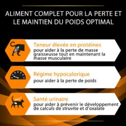 PURINA PRO PLAN Ppvd Feline OM Stox Obesity -Vetoavenue ppvd feline om stox obesity 8