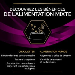 PURINA PRO PLAN Ppvd Feline UR Stox Urinary Salmon Sachet Repas -Vetoavenue ppvd feline ur stox urinary salmon sachet repas 4